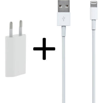 USB Oplader 5W voor iPhone - 1 meter