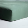 Cinderella Jersey Hoeslaken Green-1-persoons (80/90x200/220 cm)