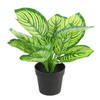 Countryfield Kunstplant Calathea in bloempot - Groen - 15 x 28 cm - Kunstplanten