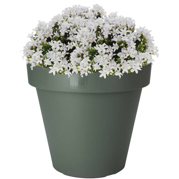 Pro Garden Plantenpot/bloempot - Tuin buiten - kunststof - donkergroen - D40 cm - Plantenpotten