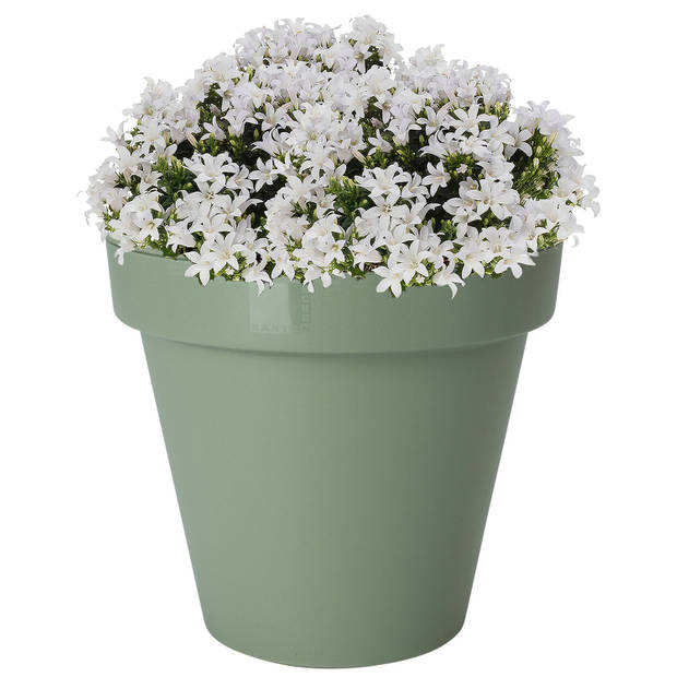 Pro Garden Plantenpot/bloempot - Tuin buiten - kunststof - groen - D35 cm - Plantenpotten