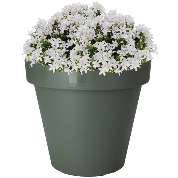 Pro Garden Plantenpot/bloempot - Tuin buiten - kunststof - donkergroen - D50 cm - Plantenpotten