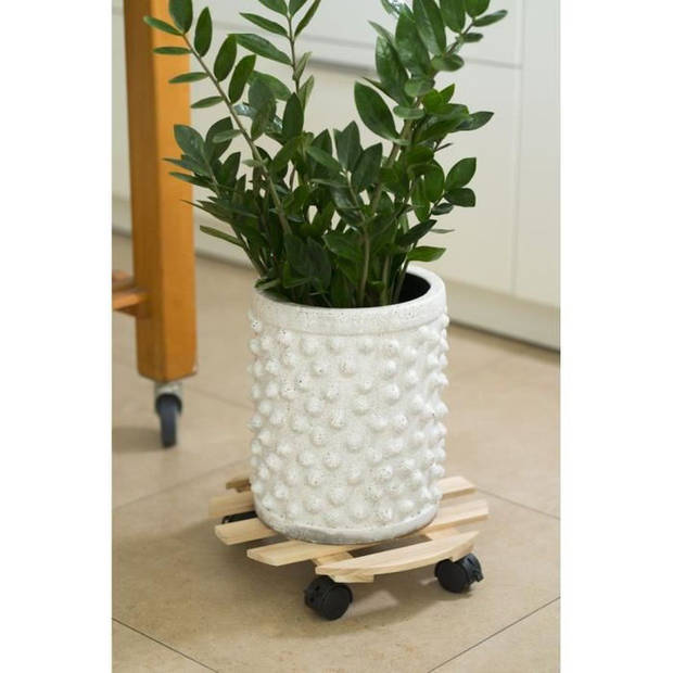 NATURE Plantentafel - Spar - H7.4 x Ø35 cm