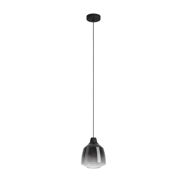 EGLO Sedbergh Hanglamp - E27 - Ø 20 cm - Zwart - Glas