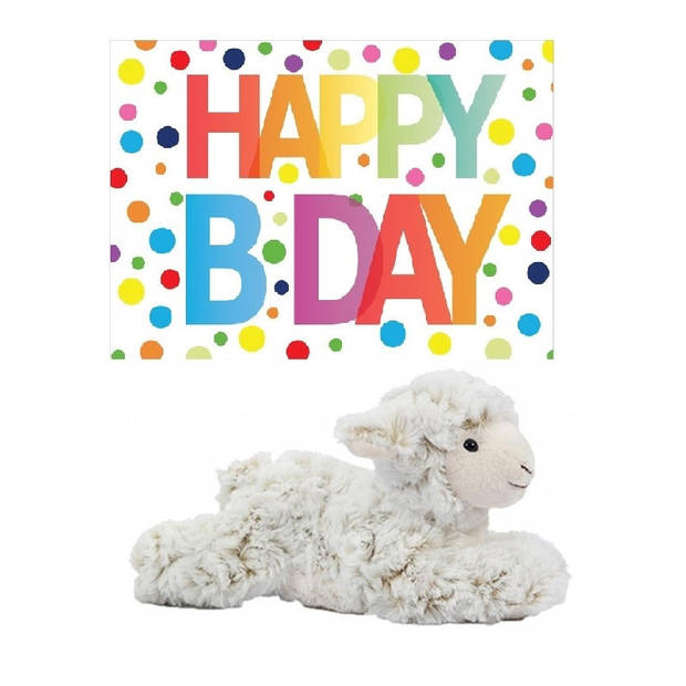 Pluche knuffel lammetje/schaap 22 cm met A5-size Happy Birthday wenskaart - Knuffel boederijdieren