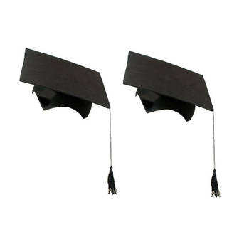 2x stuks afstudeer hoeden geslaagd zwart met kwast voor volwassenen - Verkleedhoofddeksels