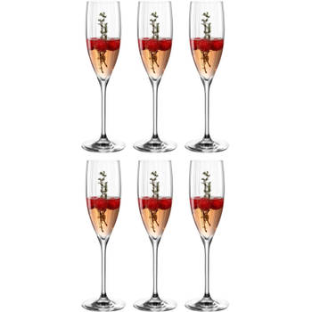 Leonardo Champagneglas Poesia - 250 ml - 6 stuks