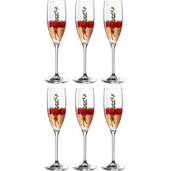 Leonardo Champagneglas Poesia - 250 ml - 6 stuks