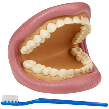 TickiT Giant Teeth Dental Kit