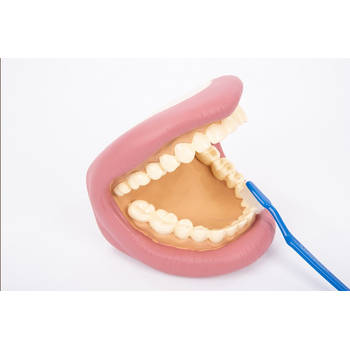 TickiT Giant Teeth Dental Kit