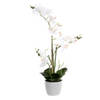 Items Orchidee bloemen kunstplant in witte bloempot - witte bloemen - H60 cm - Kunstplanten