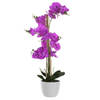 Items Orchidee bloemen kunstplant in witte bloempot - roze bloemen - H77 cm - Kunstplanten