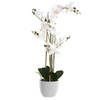 Items Orchidee bloemen kunstplant in witte bloempot - witte bloemen - H77 cm - Kunstplanten