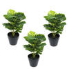 Greendream set van 3 mini Monstera - Gatenplant - Kunstplanten 30 cm