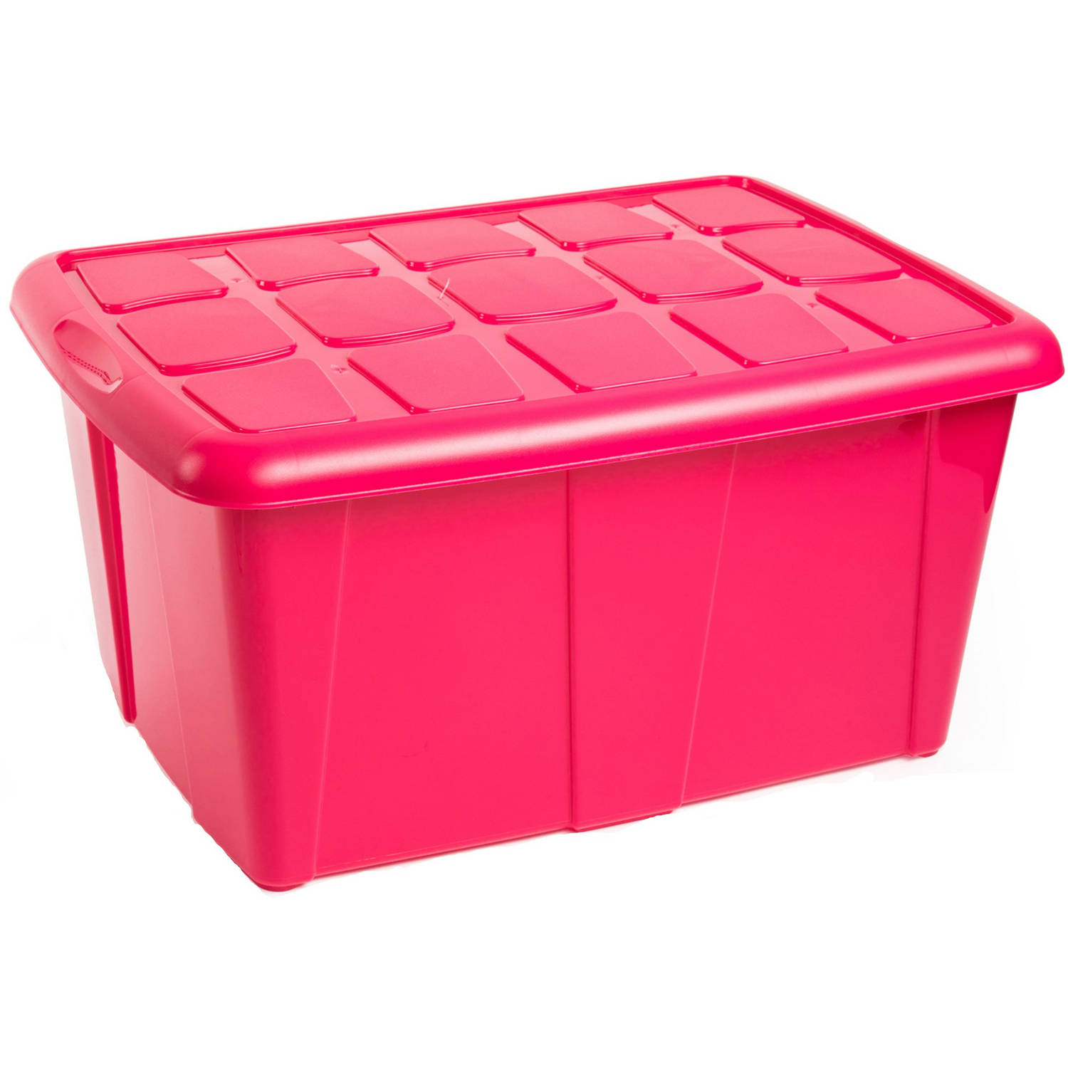 Opslagbox kist van 60 liter met deksel Fuchsia roze kunststof 63 x 46 x 32 cm Opbergbox
