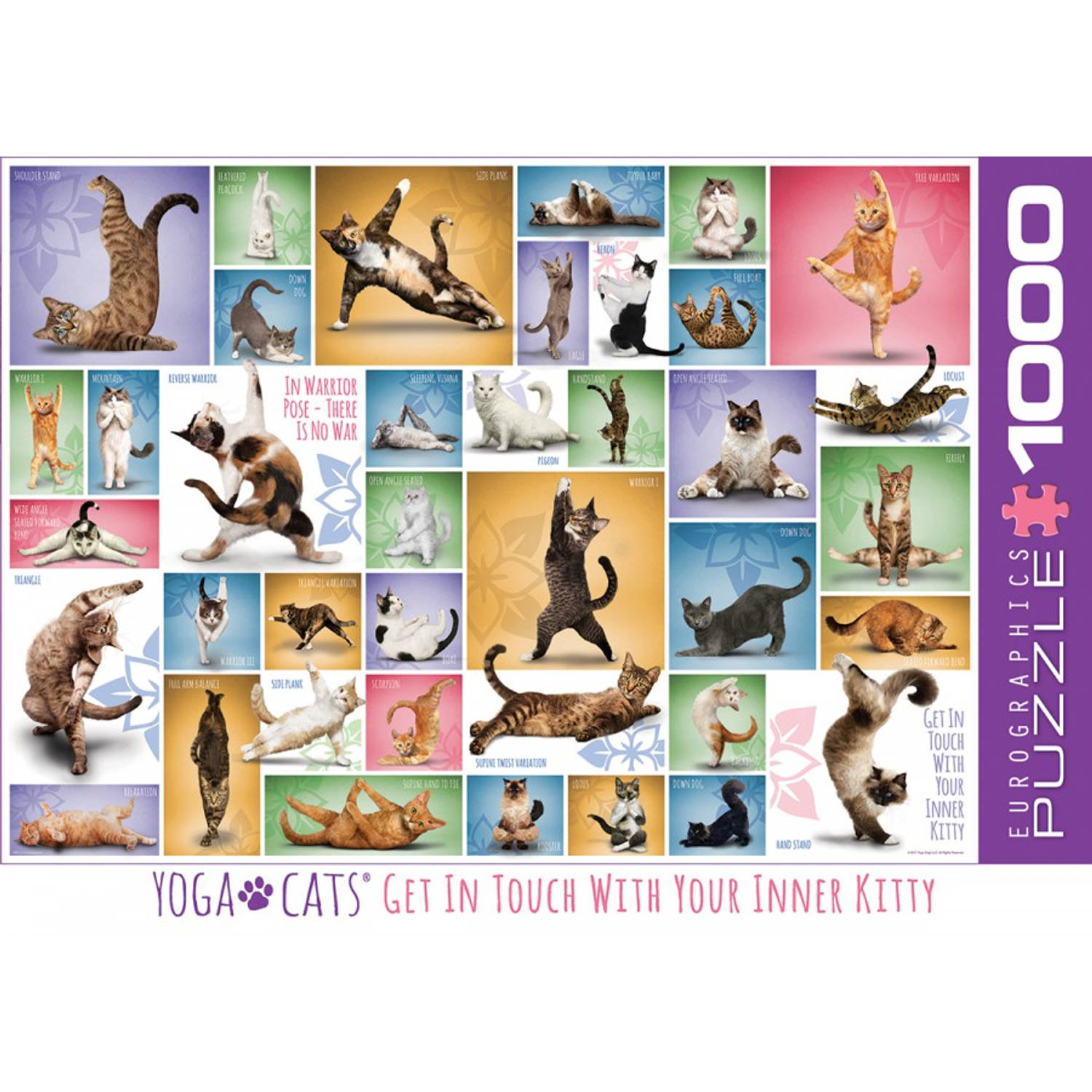 Eurographics puzzel Yoga Cats 1000 stukjes