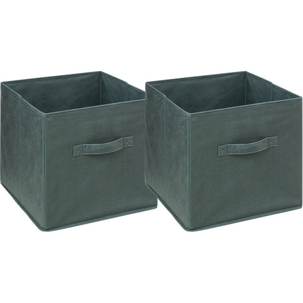 5Five Opbergmand/kastmand - 2x - vakkenkast - 29 liter - groen - 31 x 31 x 31 cm - Opbergmanden