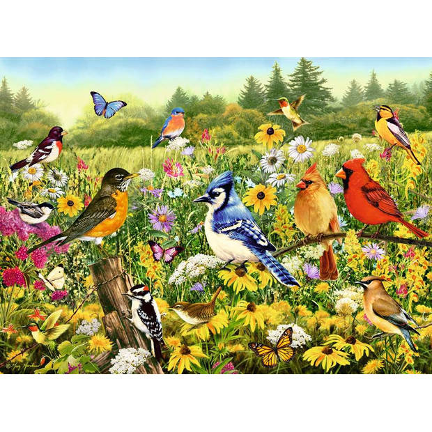 Ravensburger Puzzel 500 stukjes Vogels in de wei