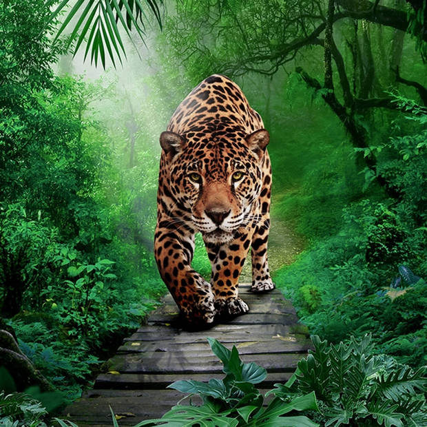 Pure Dekbedovertrek Amazone Panter-Lits-jumeaux (240 x 200/220 cm)