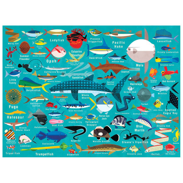 Mudpuppy puzzel Oceaan Leven - 1000 stukjes
