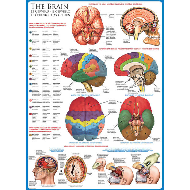 Eurographics puzzel The Brain - 1000 stukjes