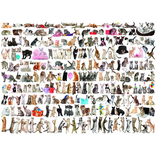 Eurographics puzzel The World of Cats - 1000 stukjes