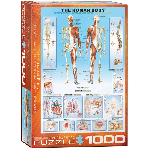 Eurographics puzzel The Human Body - 1000 stukjes