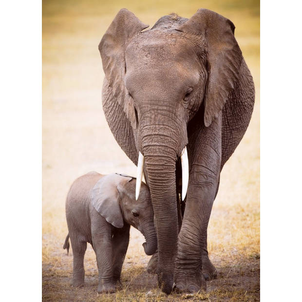 Eurographics puzzel Elephant & Baby - 1000 stukjes