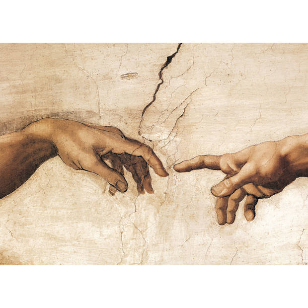 Eurographics puzzel Creation of Adam - Detail stukjes - Michelangelo - 1000 stukjes