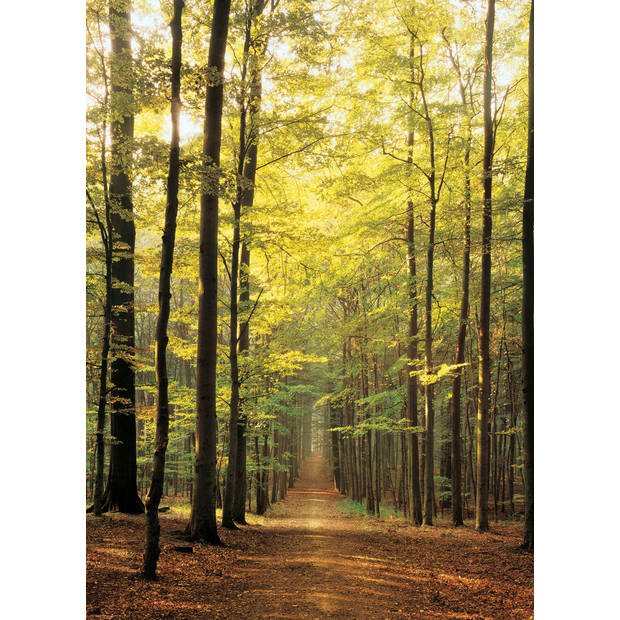 Eurographics puzzel Forest Path - 1000 stukjes