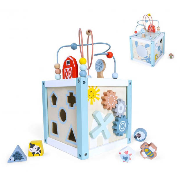 Ecotoys houten activiteiten kubus sorteerder - Educatief speelgoed voor handvaardigheid ontwikkeling