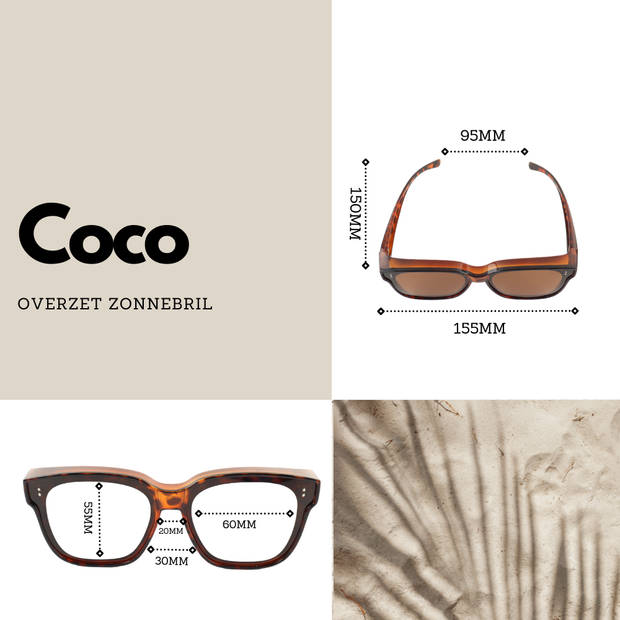 Montour Overzet Zonnebril Dames Heren COCO Bruin Vierkant Model Pasvorm Groot Overzetzonnebrillen Unisex