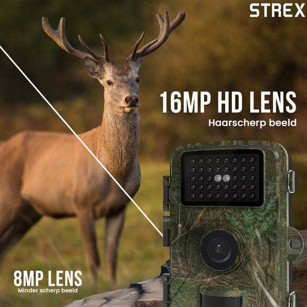 Strex Wildcamera met Nachtzicht - 16MP 1080P Full HD - Waterdicht - Jachtcamera - Wild Camera