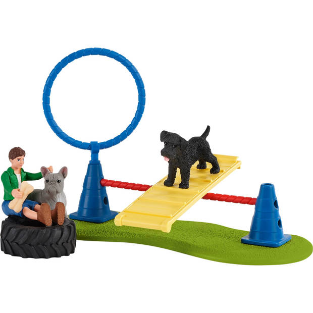 Playset Schleich Dog Entertainment