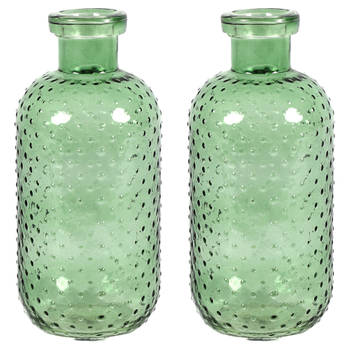 Countryfield Bloemenvaas Cactus Dots - 2x - groen transparant - glas - D11 x H24 cm - Vazen