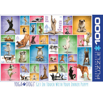 Eurographics puzzel Yoga Dogs - 1000 stukjes