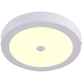 LED Downlight - Facto Dury - PIR Bewegingssensor 360° + Dag en Nacht Sensor - 24W - Warm Wit 3000K - Opbouw - Rond - Mat