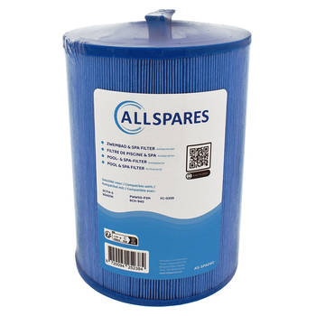 AllSpares Spa Waterfilter SC714-S / 60401M (antibacterieel)
