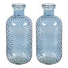 Countryfield Bloemenvaas Cactus Dots - 2x - blauw transparant - glas - D11 x H24 cm - Vazen