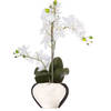 Atmosphera Orchidee bloem kunstplant - wit - H56 x B40 cm - in zilveren pot - Kunstplanten