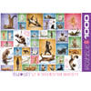 Eurographics puzzel Yoga Cats - 1000 stukjes