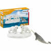 Set van Wilde Dieren Schleich Polar Bear Slide + 3 jaar