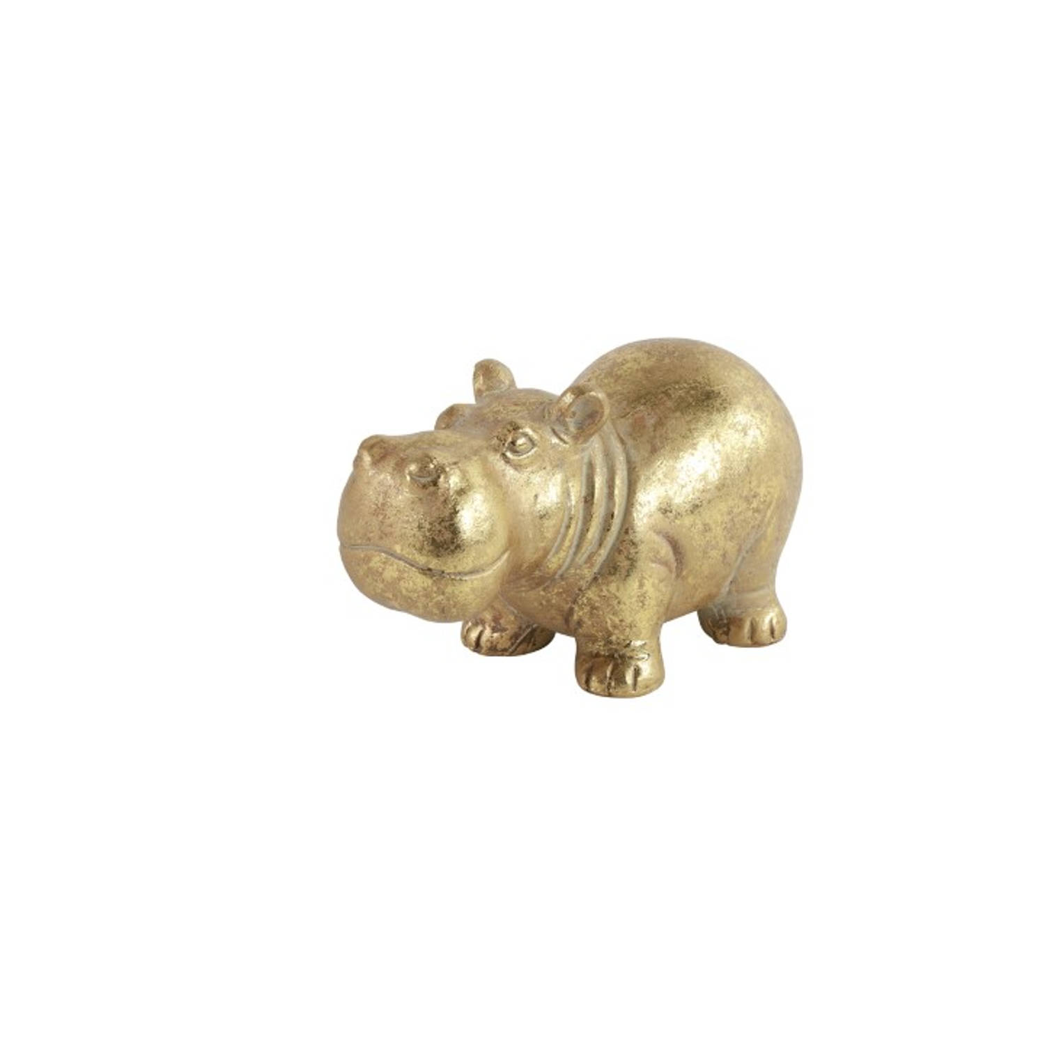 Nijlpaard Mafuta S goud