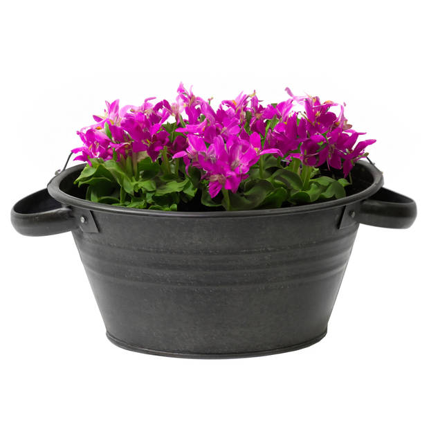 Mega Collections Teil Bloempot/plantenpot - zink - zwart - D40 x H14 cm - IJzeren emmer / teil