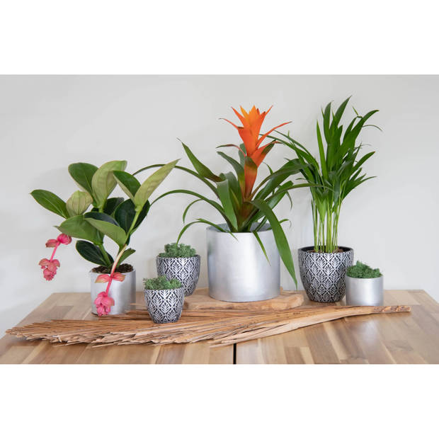 Mega Collections Plantenpot - 4x - keramiek - zilver - D11 cm - Plantenpotten