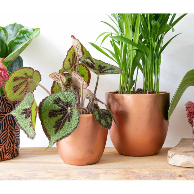 Mega Collections Plantenpot - keramiek - brons - D11 cm - Plantenpotten