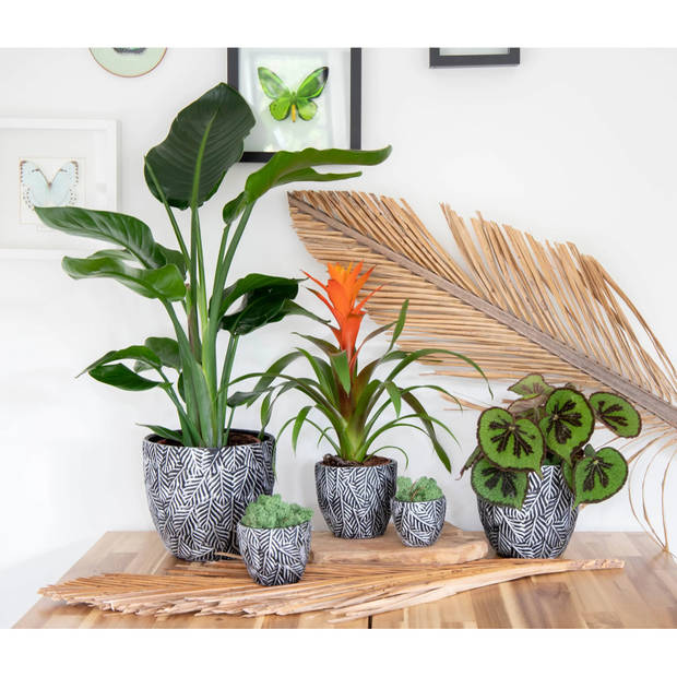 Mega Collections Plantenpot - 4x - keramiek - antraciet grijs/zilver - D11 cm - Plantenpotten