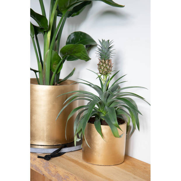 Mega Collections Plantenpot - keramiek - goud - D11 cm - Plantenpotten