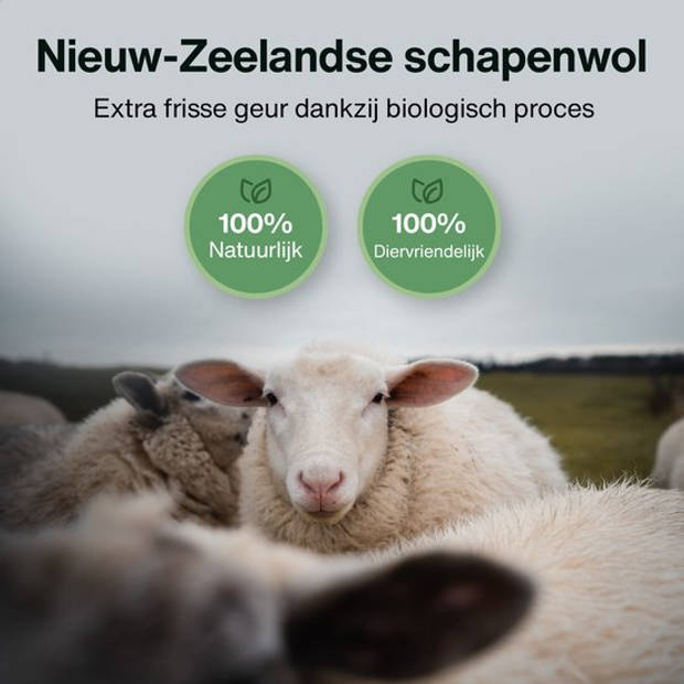 2BEHOME® 6XL Drogerballen Voor Wasdrogers - Gemaakt van 100% Nieuw-Zeelandse Schapen Wol - Wasdrogerballen - Wit