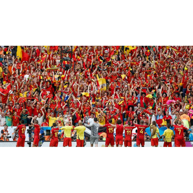 Sjaal België EK/WK Voetbal 130 x 14 cm